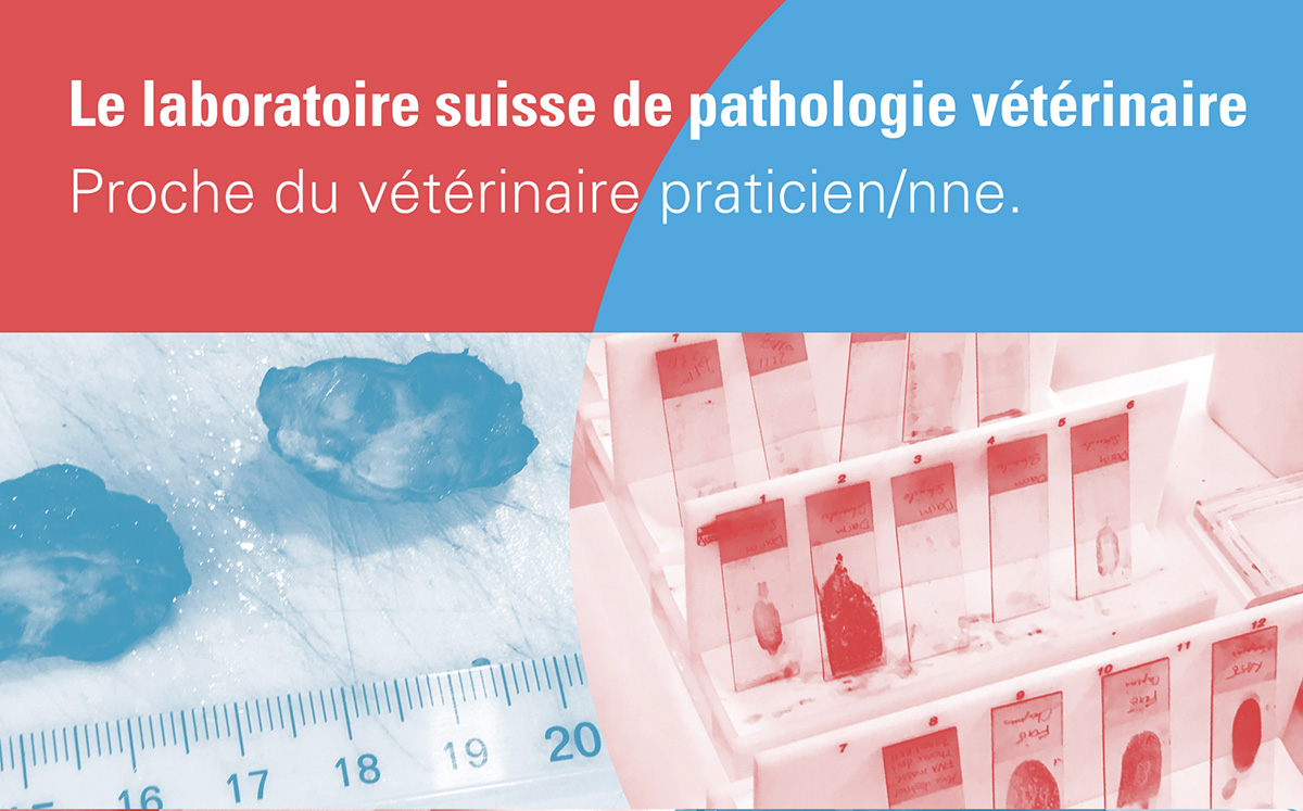 Tag der offenen Tür bei PathoVet